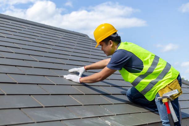 Best Roof Repair Services  in Nashotah, WI