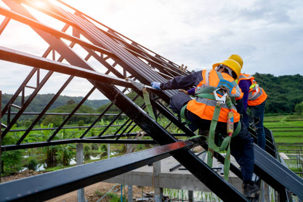 Best Gutter Installation and Roofing  in Nashotah, WI