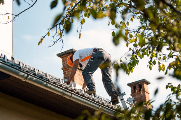 Best Roof Repair Services  in Nashotah, WI