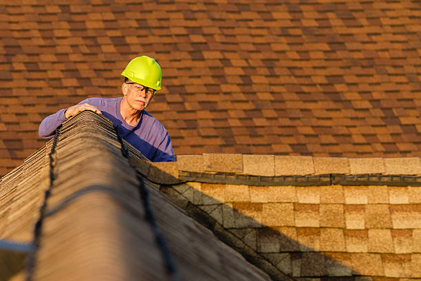 Best Metal Roofing Contractor  in Nashotah, WI